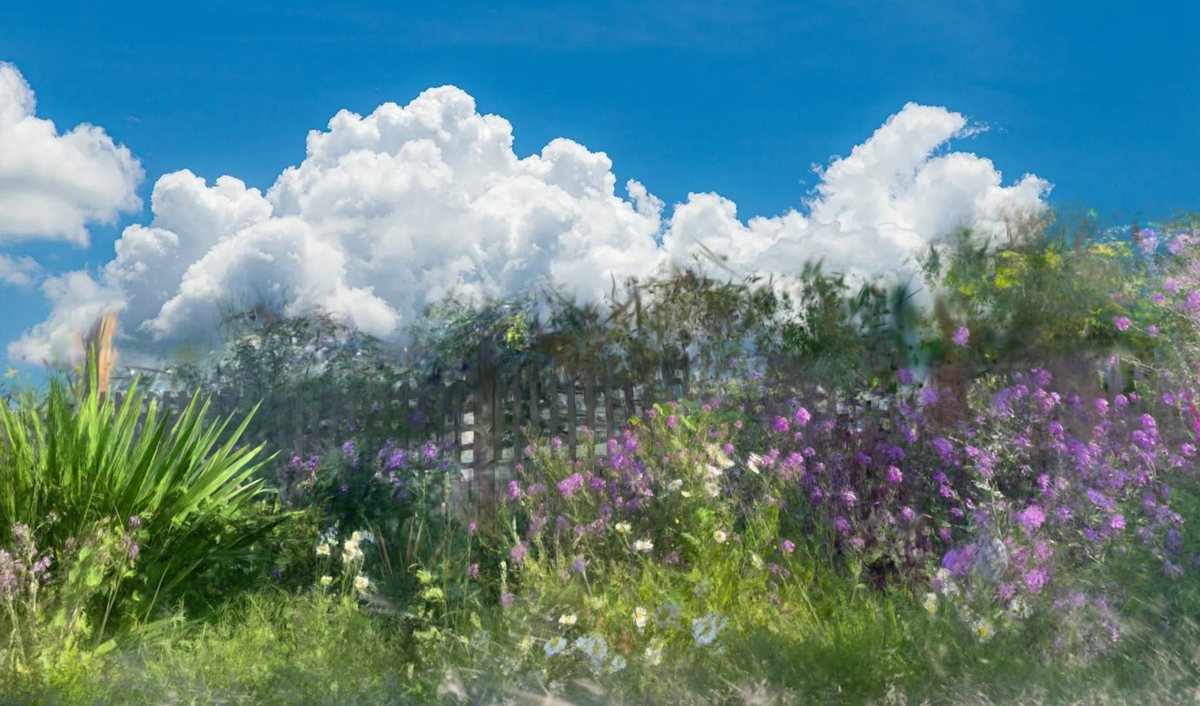 GAUSSIAN LOVE by Hunter Lofgren: a soft-focus garden of purple and white wildflowers along a wooden lattice fence, under tall white clouds in a deep blue sky.